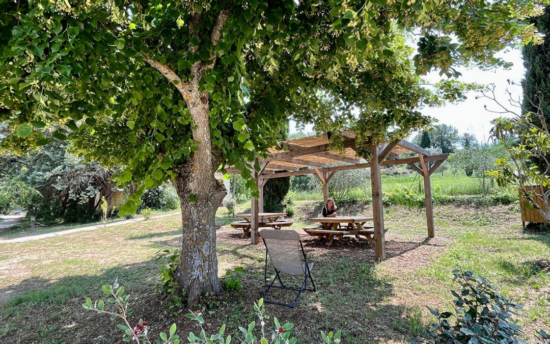 En été, bien à l’ombre des canisses !