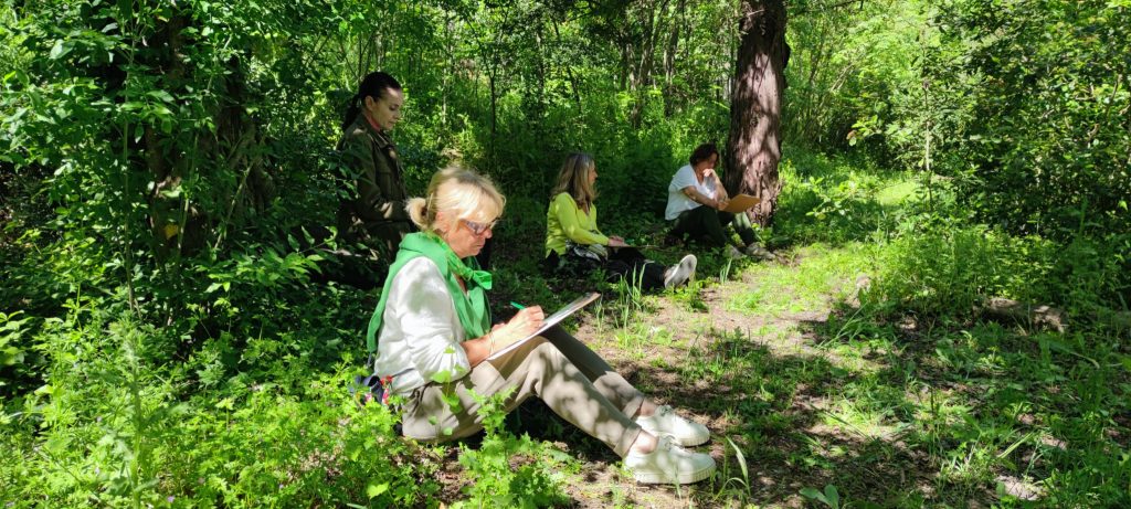 Bain de forêts à la bastide IKIGAI : Atelier intelligence collective à la bastide IKIGAI :)