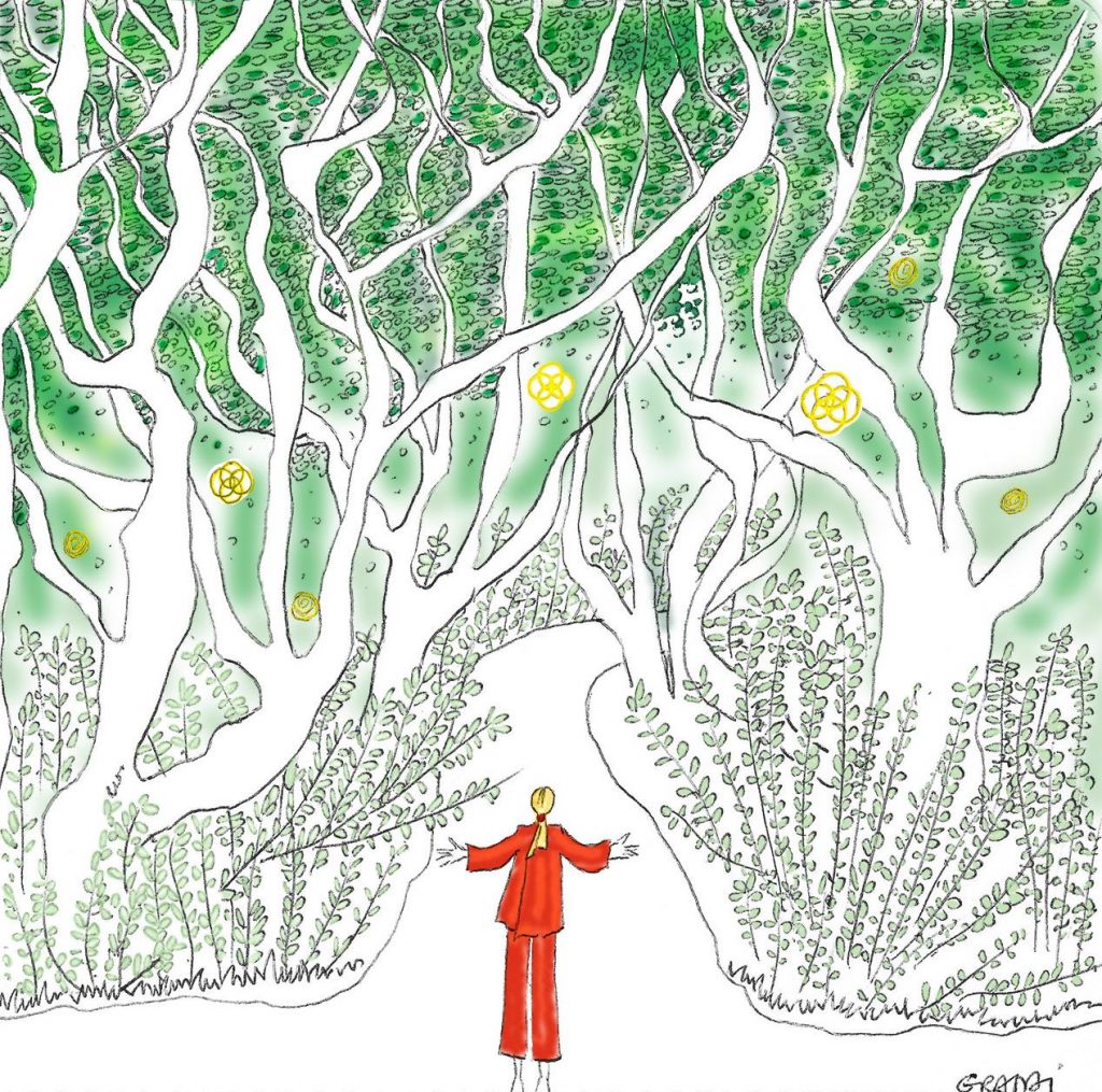 Cultiver son IKIGAI à Aix en Provence - Espace de coworking en nature